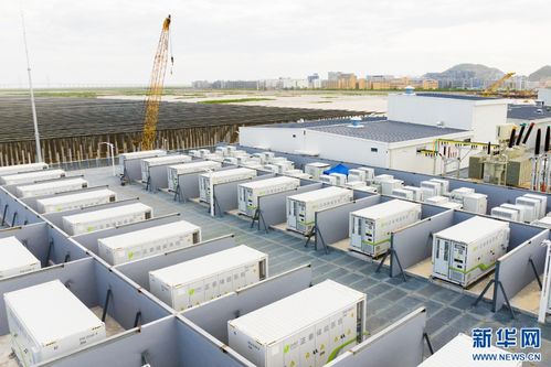 浙江溫州 追光逐風(fēng) 激活 綠電 新動能