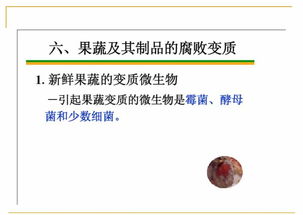 技術(shù) 食品的微生物污染及其控制