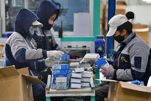 珠峰腳下爭(zhēng)朝夕 西藏日喀則產(chǎn)業(yè)扶貧見成效