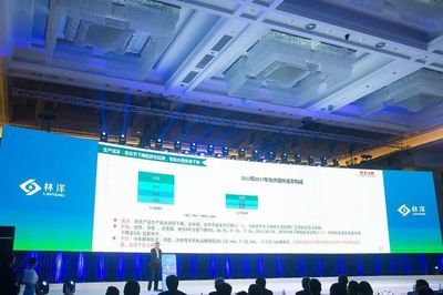 林洋能源發布多款N型單晶雙面組件 推動光伏產業技術升級